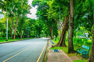 Yolda yeşil ağaçlar olan güzel bir park manzarası. 