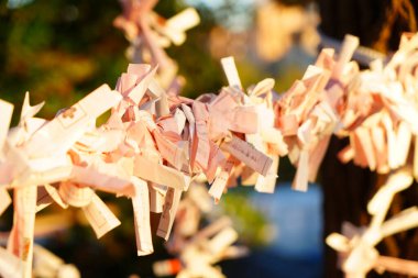 Bin Dilek: Bir Shinto Tapınağında Yumuşak Dualar ve Tahminler Paketi