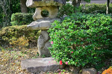 Japon parkında gündüz vakti yeşil ağaçlar ve bitkiler