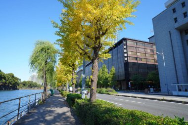 Şehirdeki göl ve modern binalar