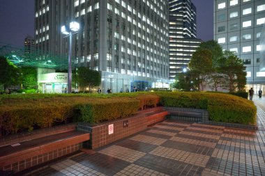 Tokyo, Japonya - Ekim 10: Tokyo Bölgesi 'nin Tokyo, Japonya' da 22 Ekim gecesi manzarası