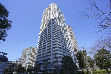 Yüksek binalar ve mavi gökyüzü - Tokyo, Japonya