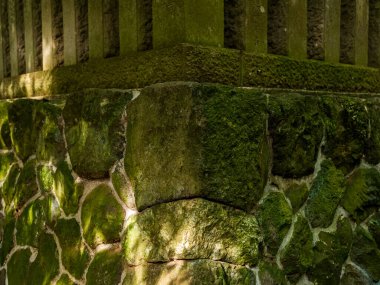 Yosun kaplı eski kayalar