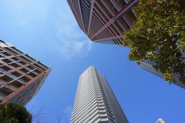Yüksek binalar ve mavi gökyüzü - Tokyo, Japonya