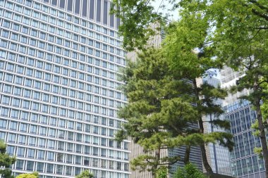 Güneşli bir günde modern Tokyo şehri manzarası, Japonya