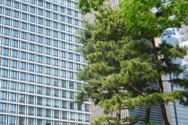 Güneşli bir günde modern Tokyo şehri manzarası, Japonya