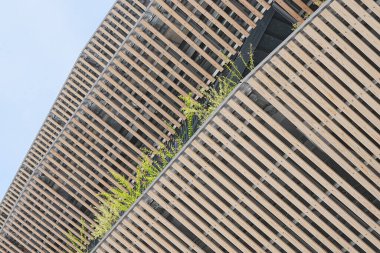 Ahşap kalaslarla süslenmiş balkon manzarası ve büyüyen yeşil bitkiler 