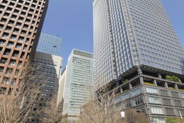 Yüksek binalar ve mavi gökyüzü - Tokyo, Japonya