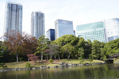 Tokyo City, Japonya 'da modern kuleleri ve yeşil parkı olan şehir manzarası