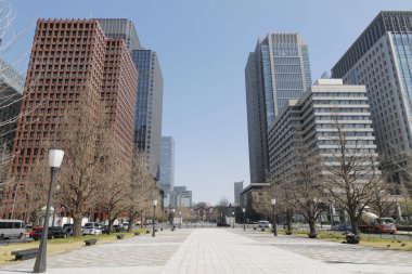 Güneşli bir günde modern şehir mimarisi. Yol, ağaçlar ve gökdelenlerin manzarası