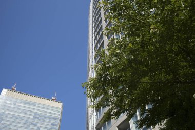 Şehrin modern binası ve mavi gökyüzü 