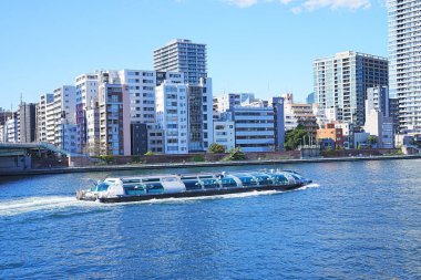 Tokyo Japonya silueti ve nehir.