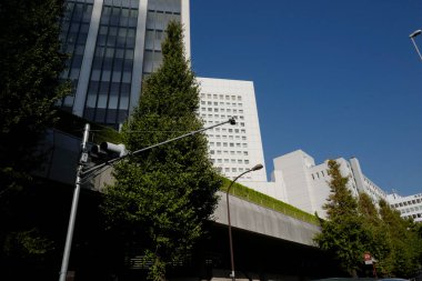 modern şehir mimarisi, Tokyo, Japonya 