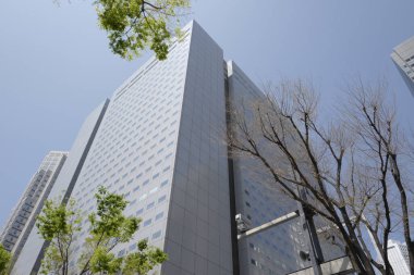 Yüksek binalar ve mavi gökyüzü - Tokyo, Japonya