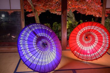 Gecenin arka planında renkli Japon şemsiyeleri
