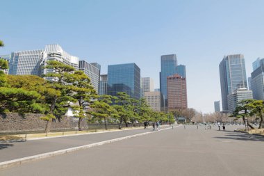 Yüksek binalar ve mavi gökyüzü - Tokyo, Japonya