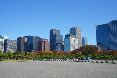 Tokyo sehri gökdelenleri ve mavi gökyüzü, Japonya