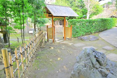 Japon parkında gündüz vakti yeşil ağaçlar ve bitkiler