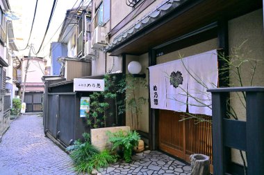 Japon geleneksel evinin ön cephesinde büyüyen yeşil bitkiler