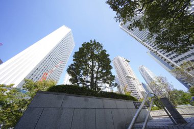 Yüksek binalar ve mavi gökyüzü - Tokyo, Japonya