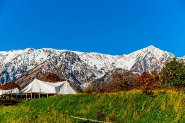 Japonya 'da renkli ağaçlarla dolu sonbahar manzarası