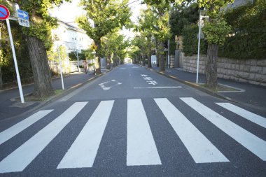 Boş yaya geçidi manzarası, zebra şehirde yolda çizilmiş.