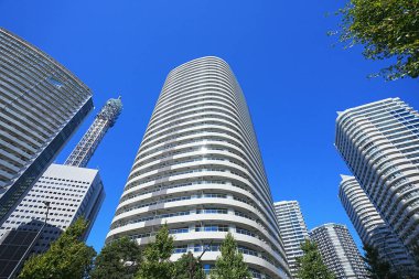 Yüksek binalar ve mavi gökyüzü - Tokyo, Japonya