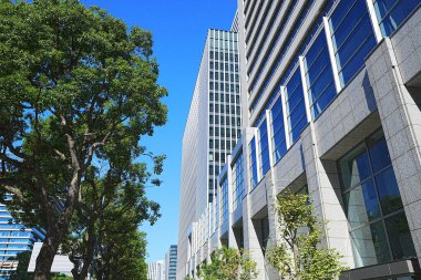 Yüksek binalar ve mavi gökyüzü - Tokyo, Japonya