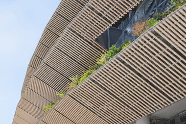 Ahşap kalaslarla süslenmiş balkon manzarası ve büyüyen yeşil bitkiler 