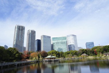 Tokyo City, Japonya 'da modern kuleleri ve yeşil parkı olan şehir manzarası