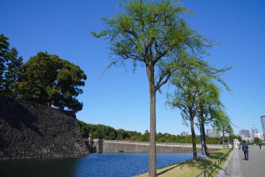 Tokyo 'daki Edo Kalesi ve Marunouchi Finansal Bölge Binaları