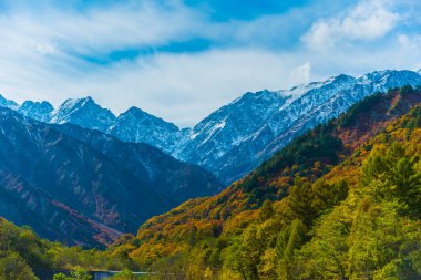 Japonya 'da renkli ağaçlarla dolu sonbahar manzarası