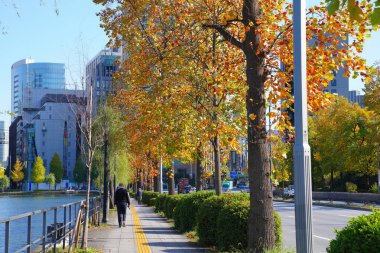 Şehirdeki göl ve modern binalar