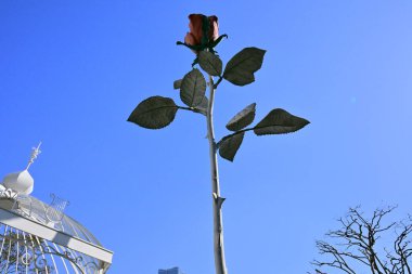 Mavi gökyüzü arka planında kırmızı gül