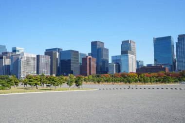 Tokyo şehir manzarası güneşli bir günde, Japonya