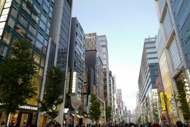 Tokyo şehrinin modern mimarisi Alacakaranlık zamanı, Japonya 