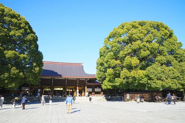 Grand Arbre Poussant Devant Hall Principal Sanctuaire Meiji Tokyo Japon — Photo