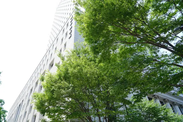 Dagtid Utsikt Moderne Arkitektur Japansk – stockfoto