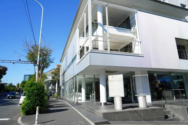 Vue Jour Architecture Moderne Ville Japonaise — Photo