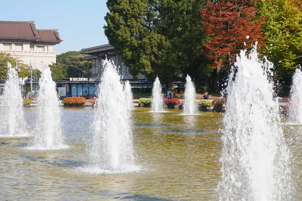 Ueno Park, Tokyo, Japonya 'daki Çeşmeler 