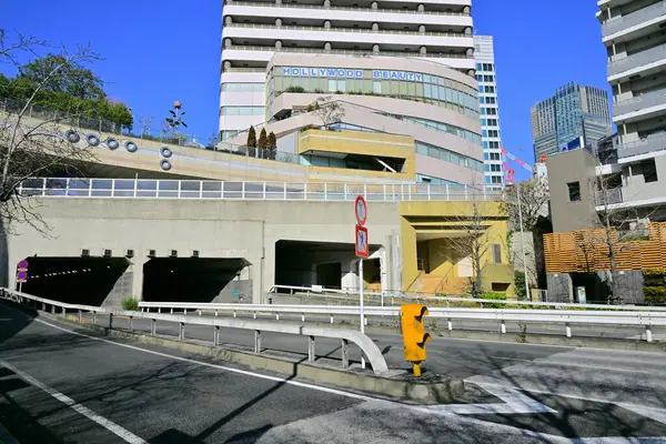 Yüksek binalar ve mavi gökyüzü - Tokyo, Japonya