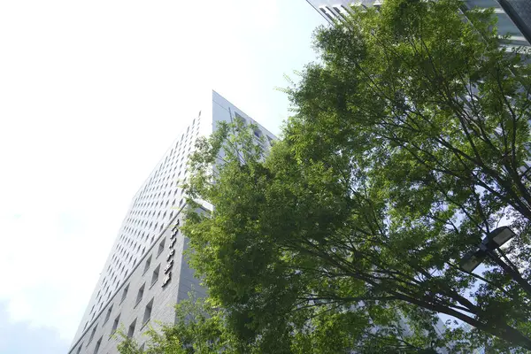 Dagtid Utsikt Moderne Arkitektur Japansk – stockfoto