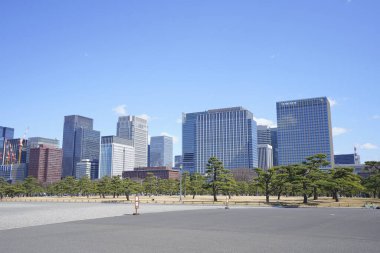 Meiji Seimei Kan binası ile Tokyo şehir manzarası, Japonya