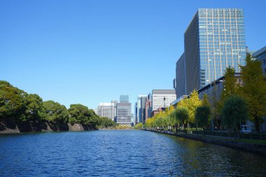 Tokyo, Japonya nehir kıyısı şehir mimarisi ile doludur.