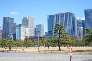 Meiji Seimei Kan binası ile Tokyo şehir manzarası, Japonya