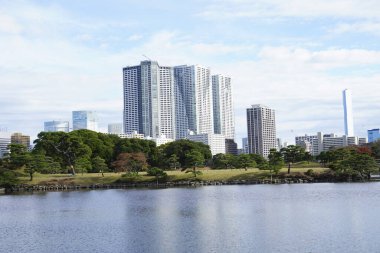 Tokyo City, Japonya 'da modern kuleleri ve yeşil parkı olan şehir manzarası
