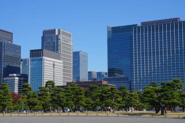Tokyo şehir manzarası güneşli bir günde, Japonya
