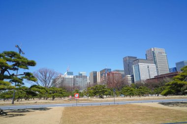 Tokyo, Japonya 'daki modern binaların manzarası