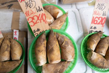 Japon pazarında çiğ bambu filizlerine yakın çekim