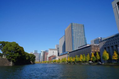 Şehirdeki göl ve modern binalar